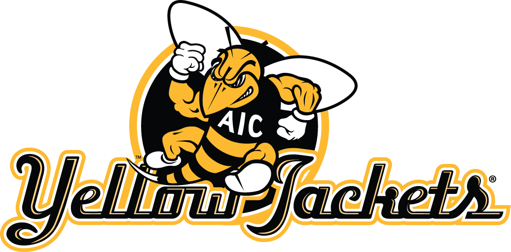 aic yellow jackets 2009-pres alternate logo v4 diy iron on heat transfer